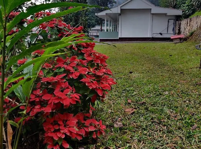 M3 Homes Munnar