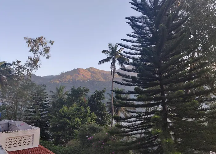 M3 Homes Munnar